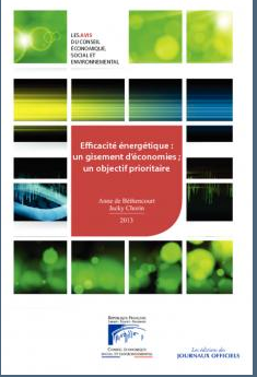 Rapport du CESE efficacité énergétique