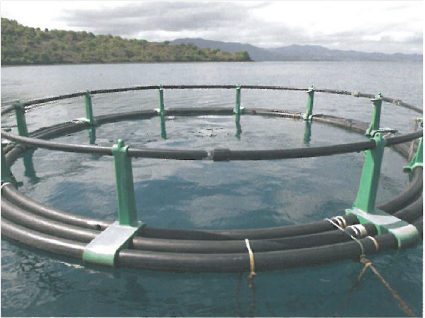 Aquaculture