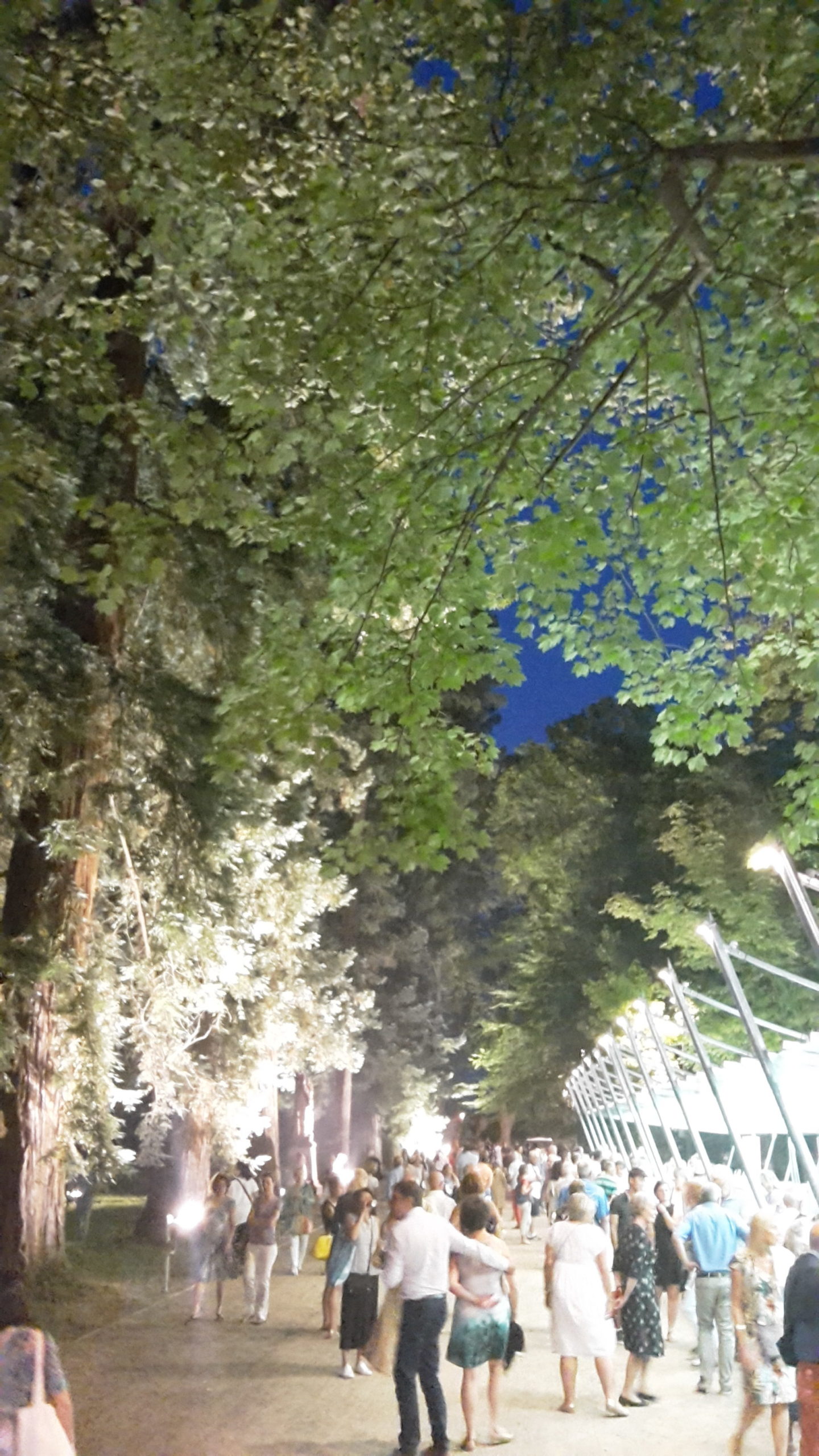 La Roque d’Anthéron 2019 : une ouverture éblouissante