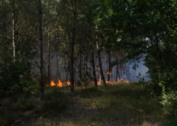 Incendies de forêt en Gironde, 17/07/22