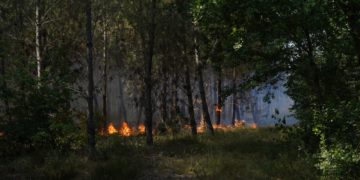 Incendies de forêt en Gironde, 17/07/22