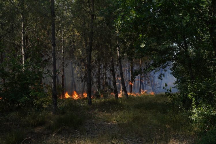 Incendies de forêt en Gironde, 17/07/22