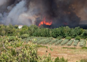 Confusion à tous les étages, une suite à la chronique française…