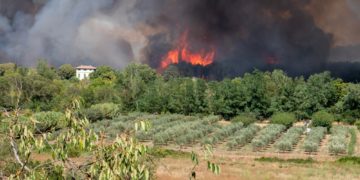 Confusion à tous les étages, une suite à la chronique française…