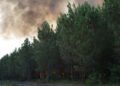 Incendies, Gironde, Juillet 2022