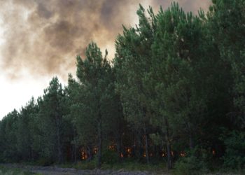 Incendies, Gironde, Juillet 2022