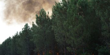 Incendies, Gironde, Juillet 2022