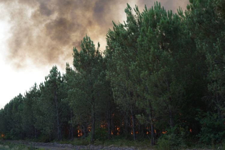 Incendies, Gironde, Juillet 2022