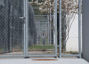 OQTF ou le symbole de l’impuissance française