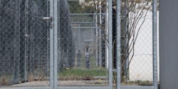 OQTF ou le symbole de l’impuissance française