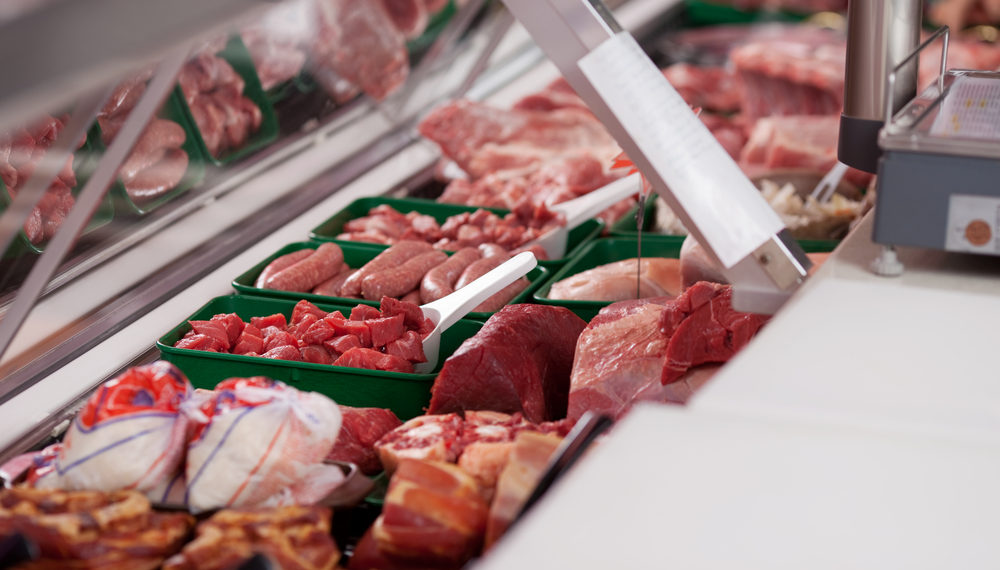 Le monde animal est aussi une question de mots