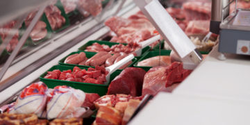 Le monde animal est aussi une question de mots