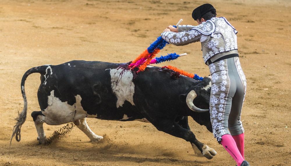 Les arguties de la corrida face à la souffrance animale