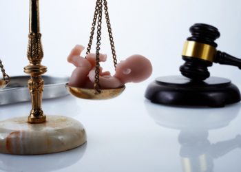 Réviser la Constitution avec l’art. 11, chiche ?