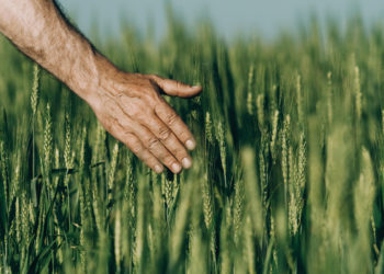 Soumis au temps : bouleversements environnementaux et angoisses individuelles