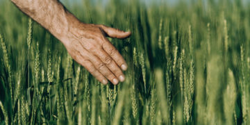 Soumis au temps : bouleversements environnementaux et angoisses individuelles