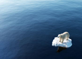 Sortir du monde parallèle pour sortir des 4 degrés