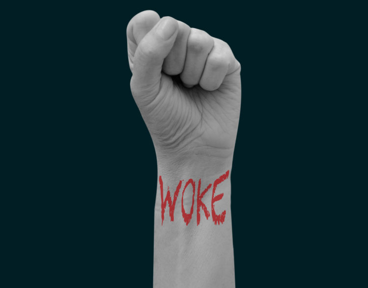 Guy Sorman à propos du wokisme