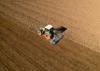 Agriculture Une nécessité : face aux dogmes, revenir au principe de réalité