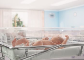 Le destin démographique de la France