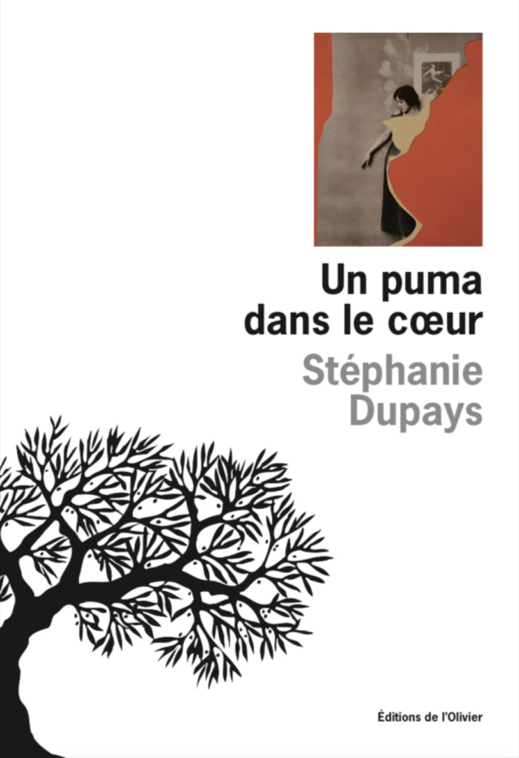 Un puma dans le coeur, de Stéphanie Dupays
