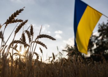 Résilience rurale et défense nationale