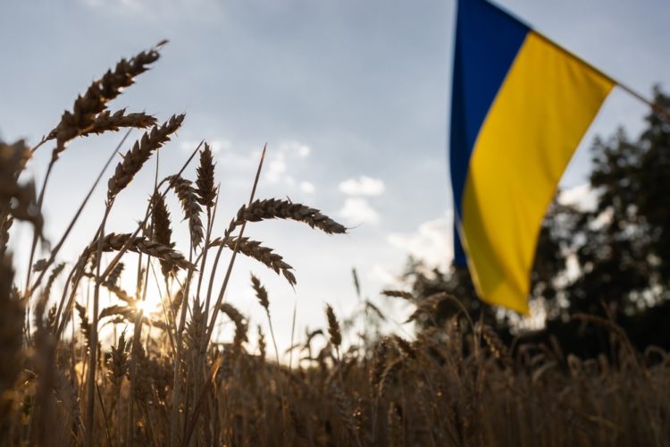 Résilience rurale et défense nationale