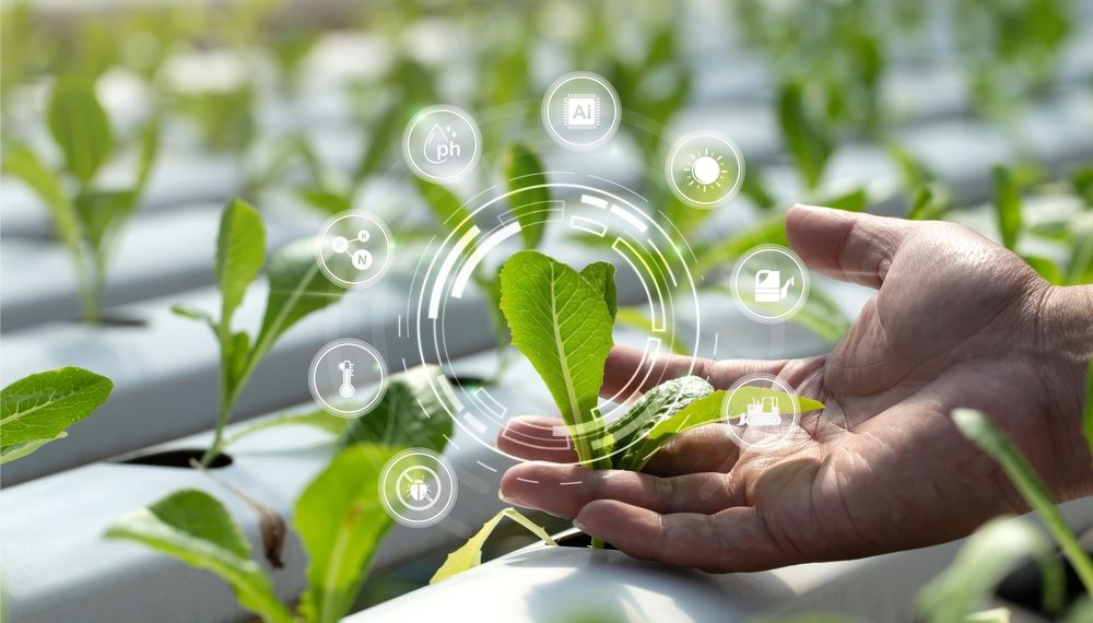 La Ferme France doit renouer avec la compétitivité, pour gagner en résilience et en attractivité