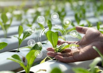 La Ferme France doit renouer avec la compétitivité, pour gagner en résilience et en attractivité