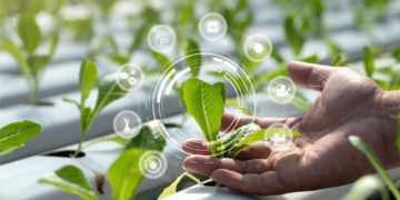 La Ferme France doit renouer avec la compétitivité, pour gagner en résilience et en attractivité