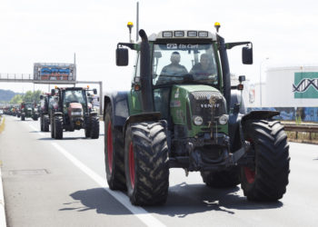 De quoi la révolte paysanne est-elle le nom ?