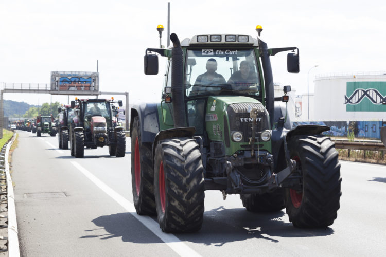 De quoi la révolte paysanne est-elle le nom ?