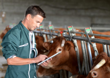 Crise agricole, juste prix, marché et équité