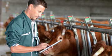Crise agricole, juste prix, marché et équité