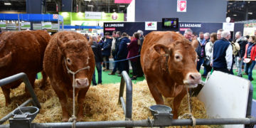 Tumulte et incohérence, le temps de la confusion et de la division