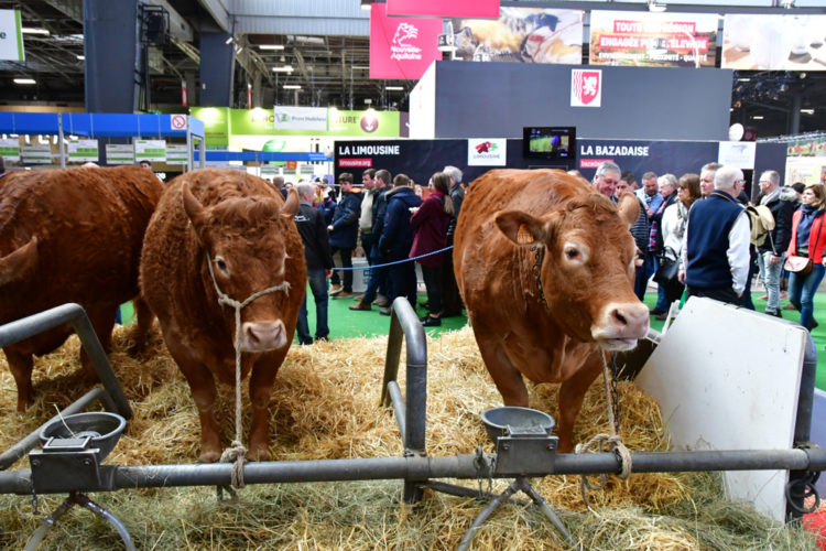 Tumulte et incohérence, le temps de la confusion et de la division