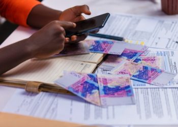 Le dilemme monétaire de l’Alliance des États du Sahel