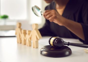 Il faut inscrire la démocratie sociale dans la Constitution !