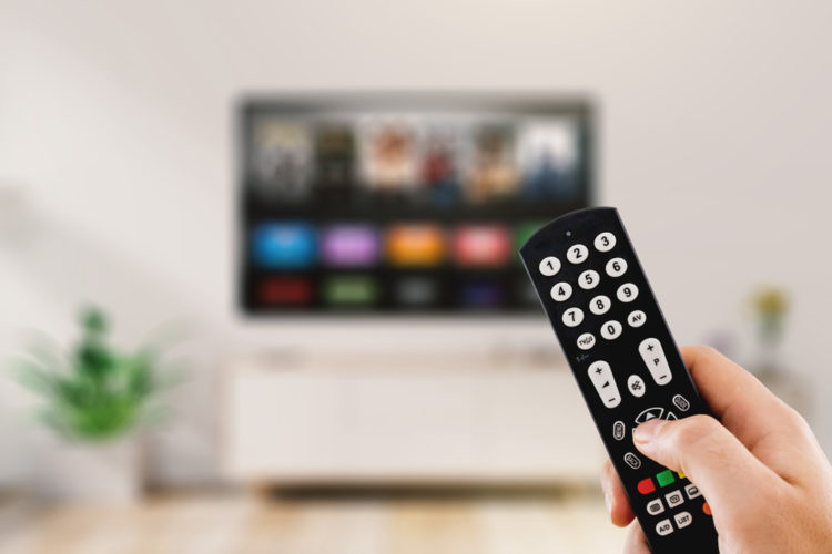 Mila en ce printemps 2024