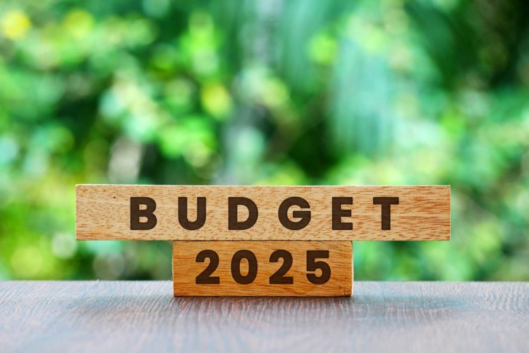 L’Aide publique au développement, la grande sacrifiée du budget 2025