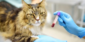 Taxer l’expérimentation animale ne serait pas aberrant