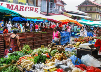 Justice maltraitée, justice maltraitante : lever le voile sur les inégalités ultramarines