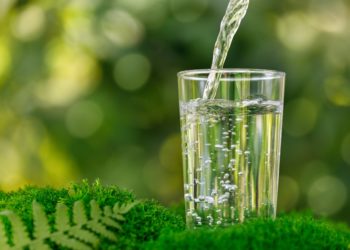Les eaux minérales : une législation désuète ?