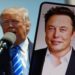 Trump/Musk : le fantasme ‘janus’ de la puissance