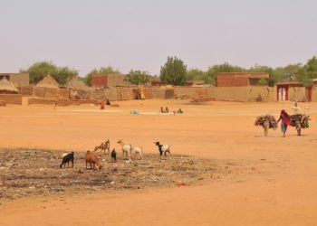 Du Levant à l’Afrique, la grande bascule djihadiste