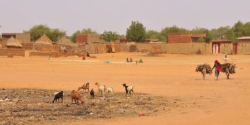 Du Levant à l’Afrique, la grande bascule djihadiste