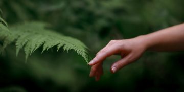 Histoire et environnement