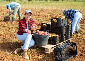 « Il nous faut réfléchir à l’avenir et ouvrir les yeux sur les alternatives qui arrivent »