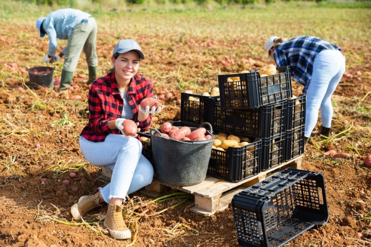 « Il nous faut réfléchir à l’avenir et ouvrir les yeux sur les alternatives qui arrivent »