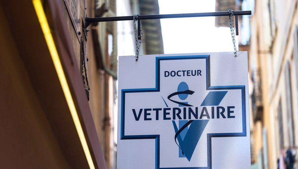 Ni désinformation ni dogmatisme, mais une démarche scientifique : la santé animale et les vétérinaires